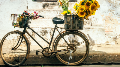 Vintage-Fahrrad mit Körben voller lebendiger Blumen vor einer verwitterten Wand.