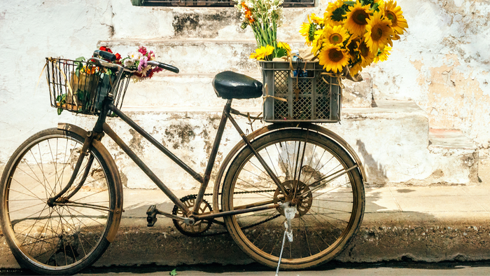 Vintage-Fahrrad mit Körben voller lebendiger Blumen vor einer verwitterten Wand.