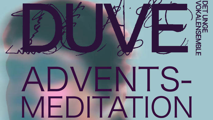 Billedet viser teksten **