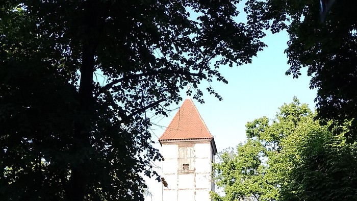 Durch die Bäume ist ein weißer Turm mit rotem Dach zu sehen.