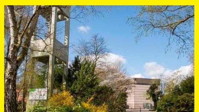 Ein Garten mit Treppe und Baum, umgeben von grünem Blattwerk und blühenden Büschen