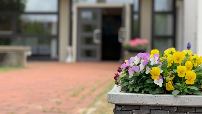 Blumenkasten mit bunten Blumen vor einem Gebäude mit Glastüren
