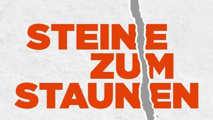 Das Buchcover zeigt den Titel "Steine zum Staunen" und eine Rissdarstellung