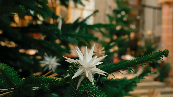 Weihnachtsbaum mit weißen Sternendekorationen in einem Gebäude.