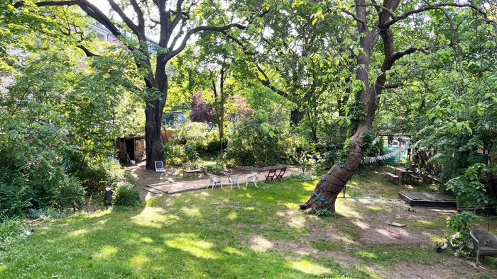 Ein ruhiger Garten mit großen Bäumen und einer Holzbank.