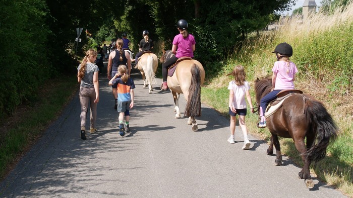 Menschen, die auf einem Weg gehen und Pferde reiten.