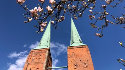 Zwei rote Backsteintürme mit grünen Spitzen vor blühendem Baum und blauem Himmel
