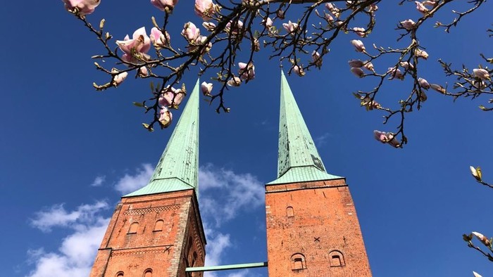 Zwei rote Backsteintürme mit grünen Spitzen vor blühendem Baum und blauem Himmel