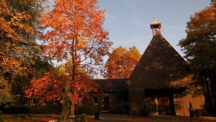 Ein leuchtend roter Baum vor einer Kirche im Herbst