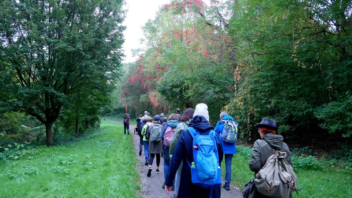 Eine Gruppe von Wanderern geht auf einem Pfad durch einen Wald