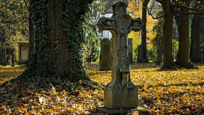Ein alter Grabstein steht in einem Wald mit herabgefallenen Blättern.