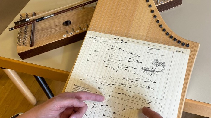 Person spielt eine Zither und liest Noten.