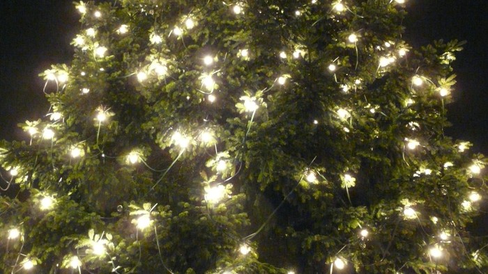 Ein wunderschön beleuchteter Weihnachtsbaum, geschmückt mit funkelnden Lichterketten vor einem Nachthimmel.