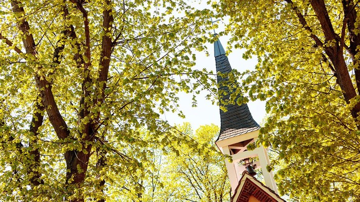Kirchturm durch Bäume im Herbstlaub