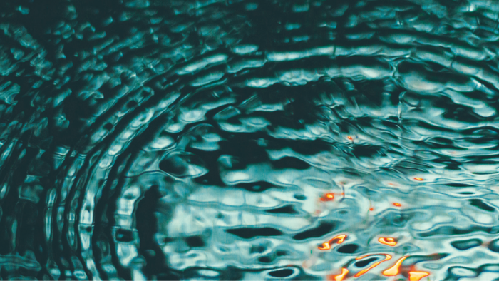 En gruppe guldfisk svømmer i et klart blåvand med rifler.