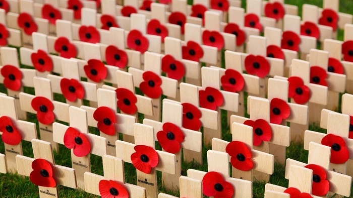 Rows of white crosses with red poppies on grass.