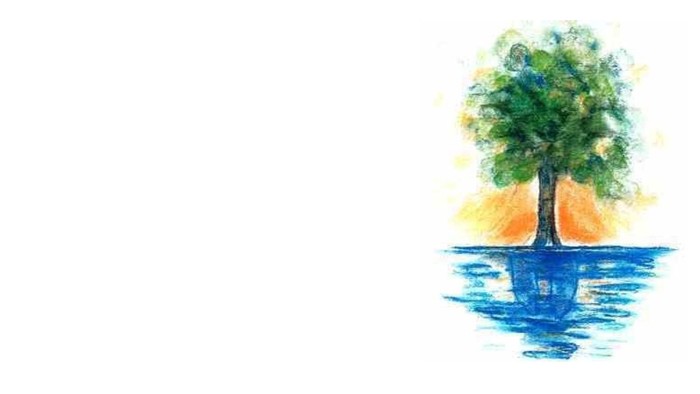 En maleriagtig træstamme i vand