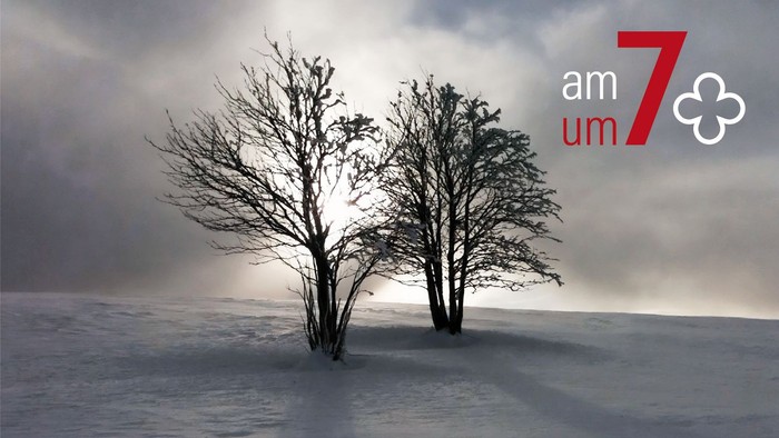 Winterlandschaft im Gegenlicht