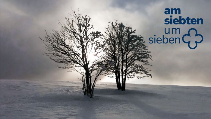 Kahle Bäume ragen schroff in einer schneebedeckten, nebligen Landschaft unter einem bewölkten Himmel mit der Markenaufschrift „am siebten um sieben“ auf.