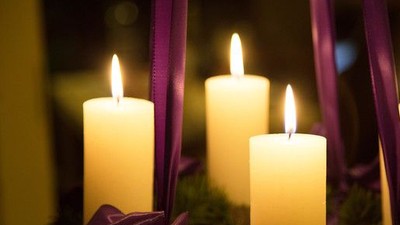 Firelyse på grønne blomster med violette bänder