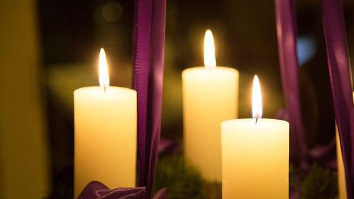 Firelyse på grønne blomster med violette bänder