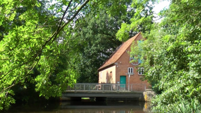 Bild einer Wassermühle am Fluss umgeben von Bäumen.