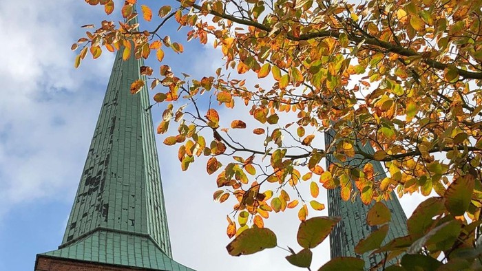 Ein hoher Kirchturm mit grüner Kuppel und Herbstblätter im Vordergrund