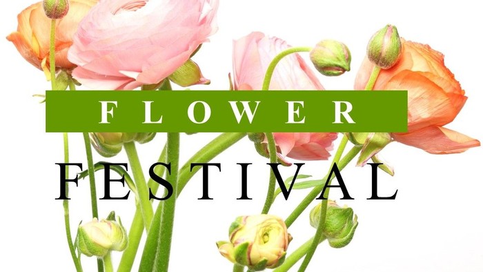 A vibrant bouquet of flowers with the text 