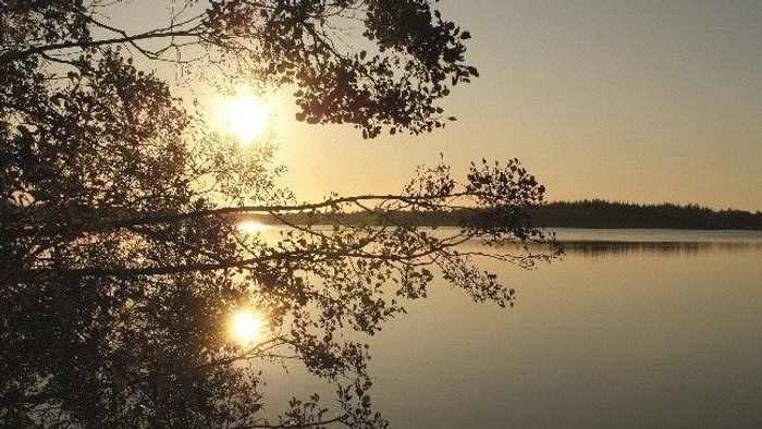 En rolig sø med solnedgang og træer i forgrunden
