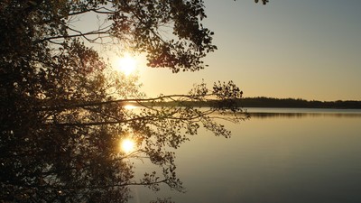 Solnedgang over søen med træer i forgrunden
