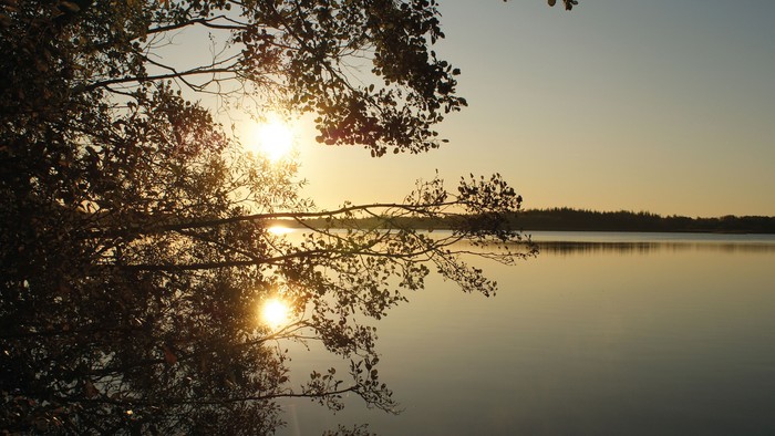 Solnedgang over søen med træer i forgrunden