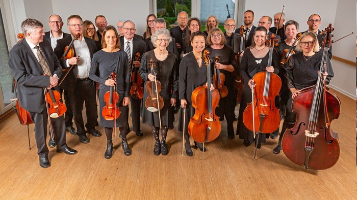Et professionelt strygeorkester poserende sammen med deres instrumenter i en formel ramme.