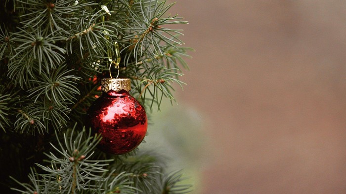 Ein roter Christbaumschmuck hängt an einem Tannenbaum.
