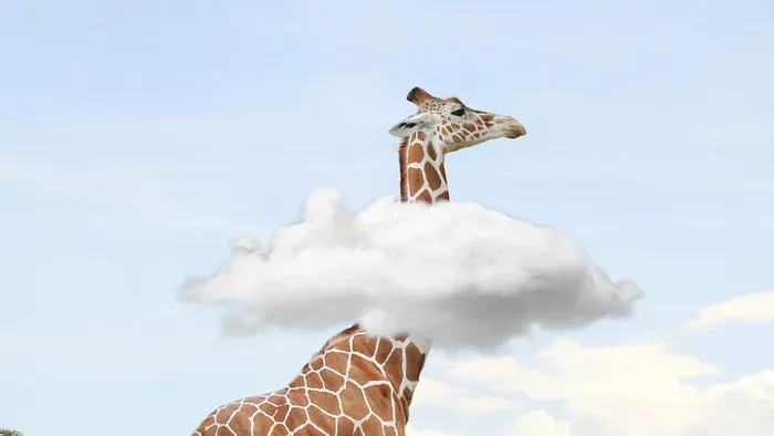 Giraffe, deren HAls durch eine Wolke reicht