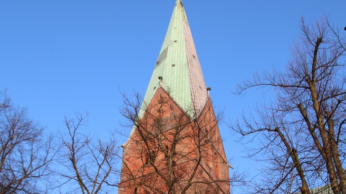 Hohe Kirchturm mit spitzem Dach und Zifferblatt, umgeben von kahlen Bäumen