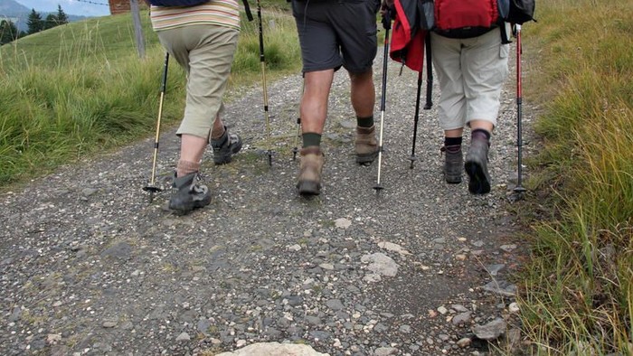 Drei Wanderer gehen mit Rucksäcken und Trekkingstöcken auf einem Schotterweg.