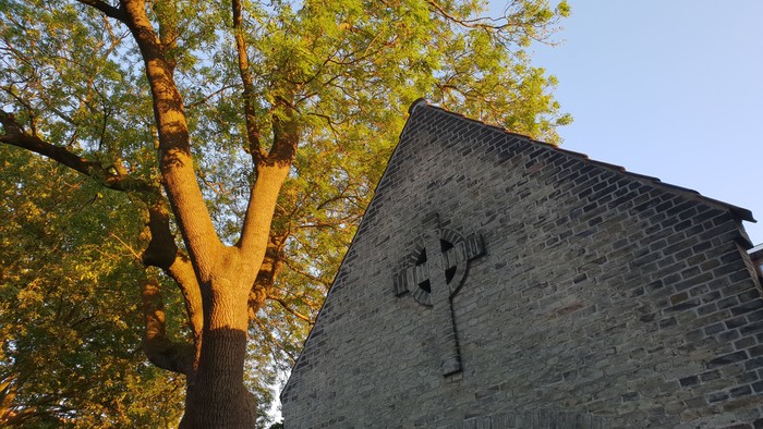 Et træ med grønne blade og en stenmur med et kors.