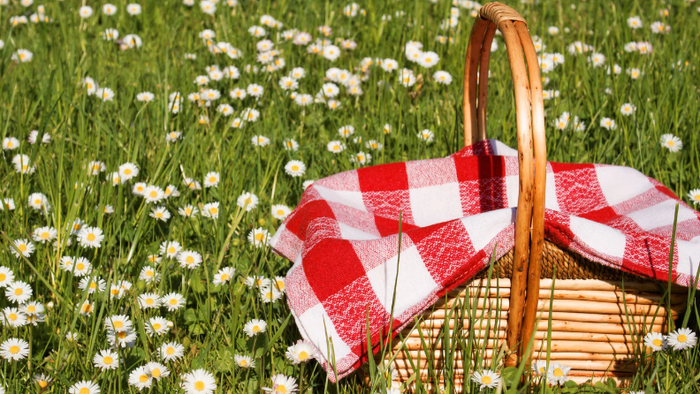Picknickkorb auf Wiese