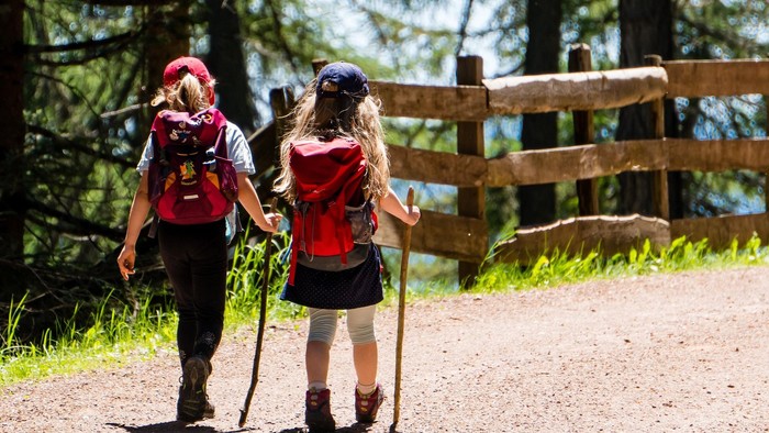 Zwei Wanderer mit Rucksäcken und Wanderstöcken erkunden einen malerischen Waldpfad in der Nähe eines Holzzauns.