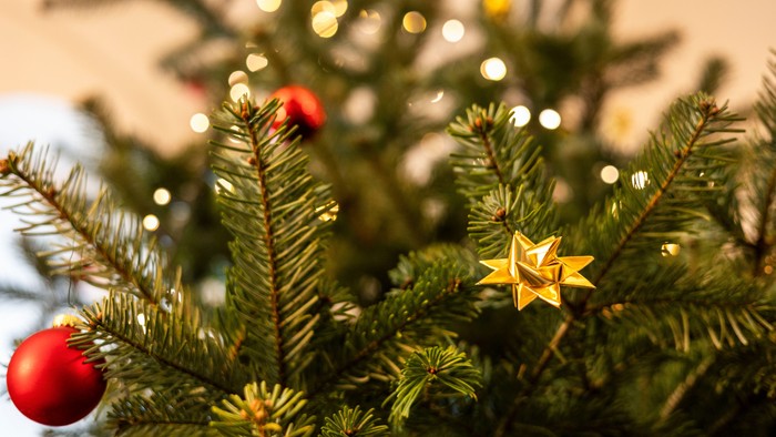 Et juletræ pyntet med lys, julekugler og en stjerne.