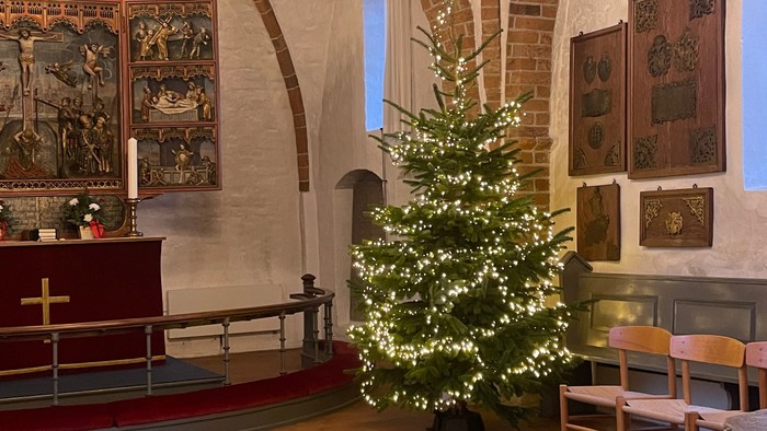 2 harmoniske juletræer i Eggeslevmagle Kirke
