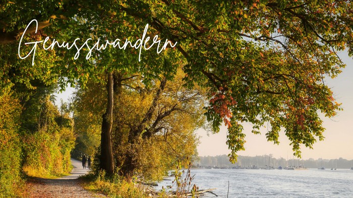 Ein friedlicher Spazierweg entlang eines Flusses im Herbst