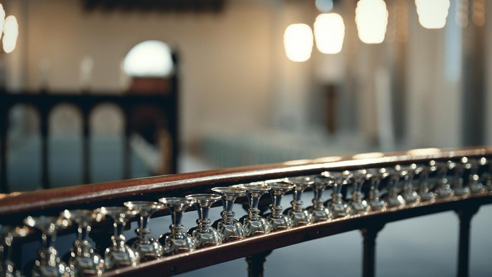 En smuk og detaljeret jerntræler med glansende finner.