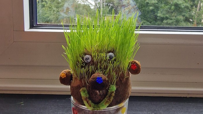 Eine Glasvase mit grünem Gras und Spielzeuggesicht auf einem Fensterbrett.