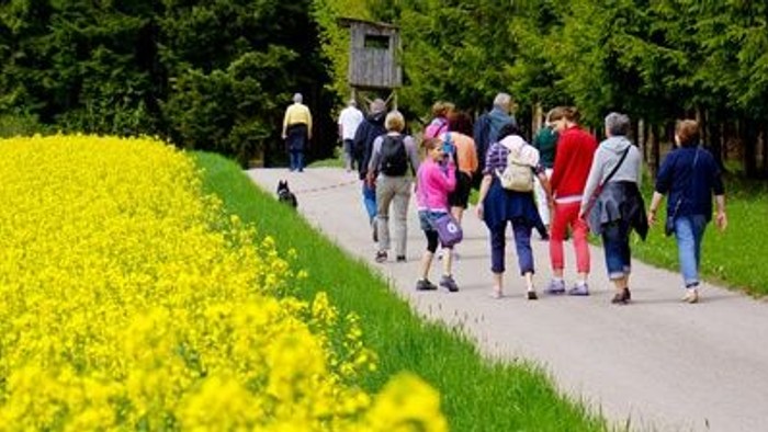 Eine Gruppe von Menschen spaziert auf einem Weg durch eine grüne Landschaft mit gelben Blumen.