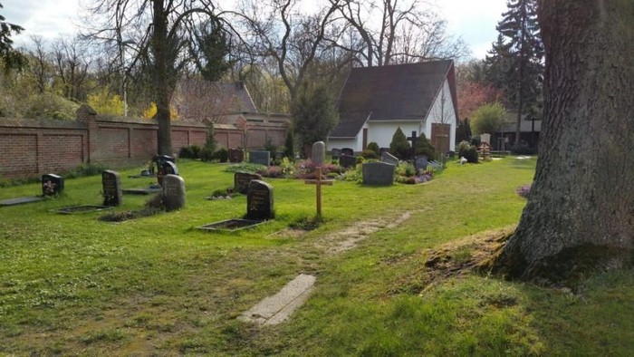 Ein friedlicher Friedhof mit alten Grabsteinen und einem großen Baum.