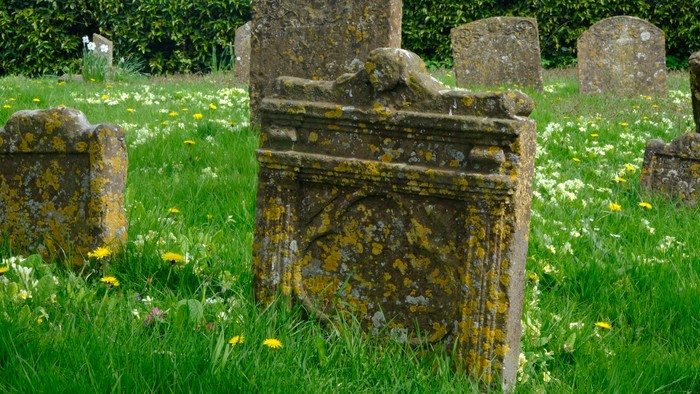 Alte Grabsteine in einem grasbewachsenen Friedhof