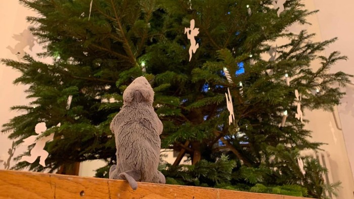 En stor juletree med pynt og en lille bjørn under den.