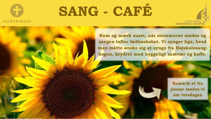 Plakat til Vindinge Bogcafe med solblomster og begivenhedsdetaljer