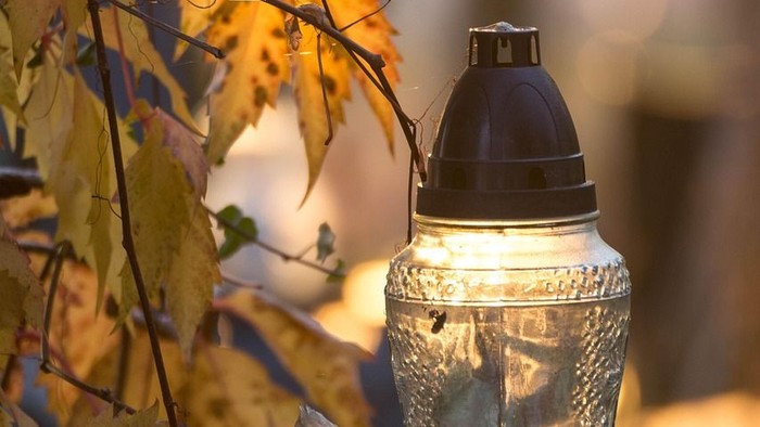Ein beleuchteter Glasbehälter auf einem Steinsims mit herabfallenden Herbstblättern.